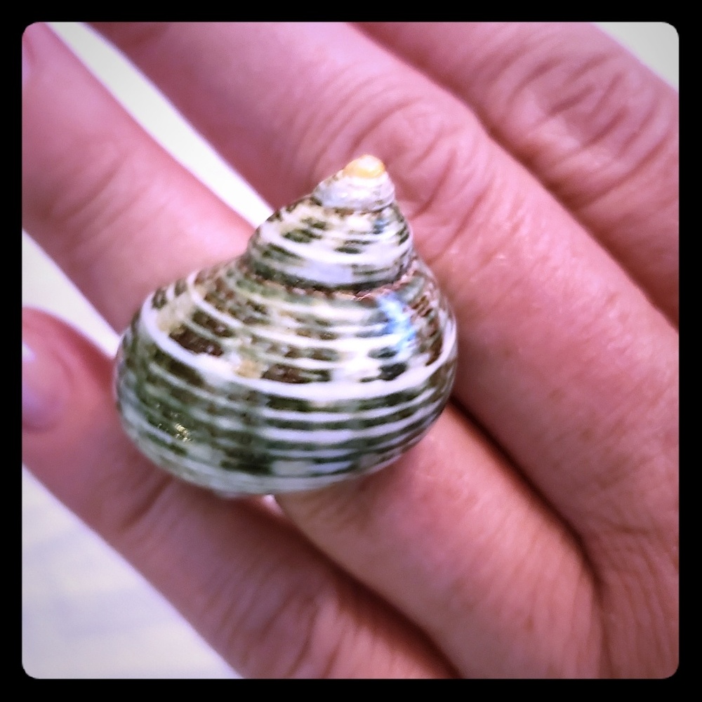 Real shell ring
